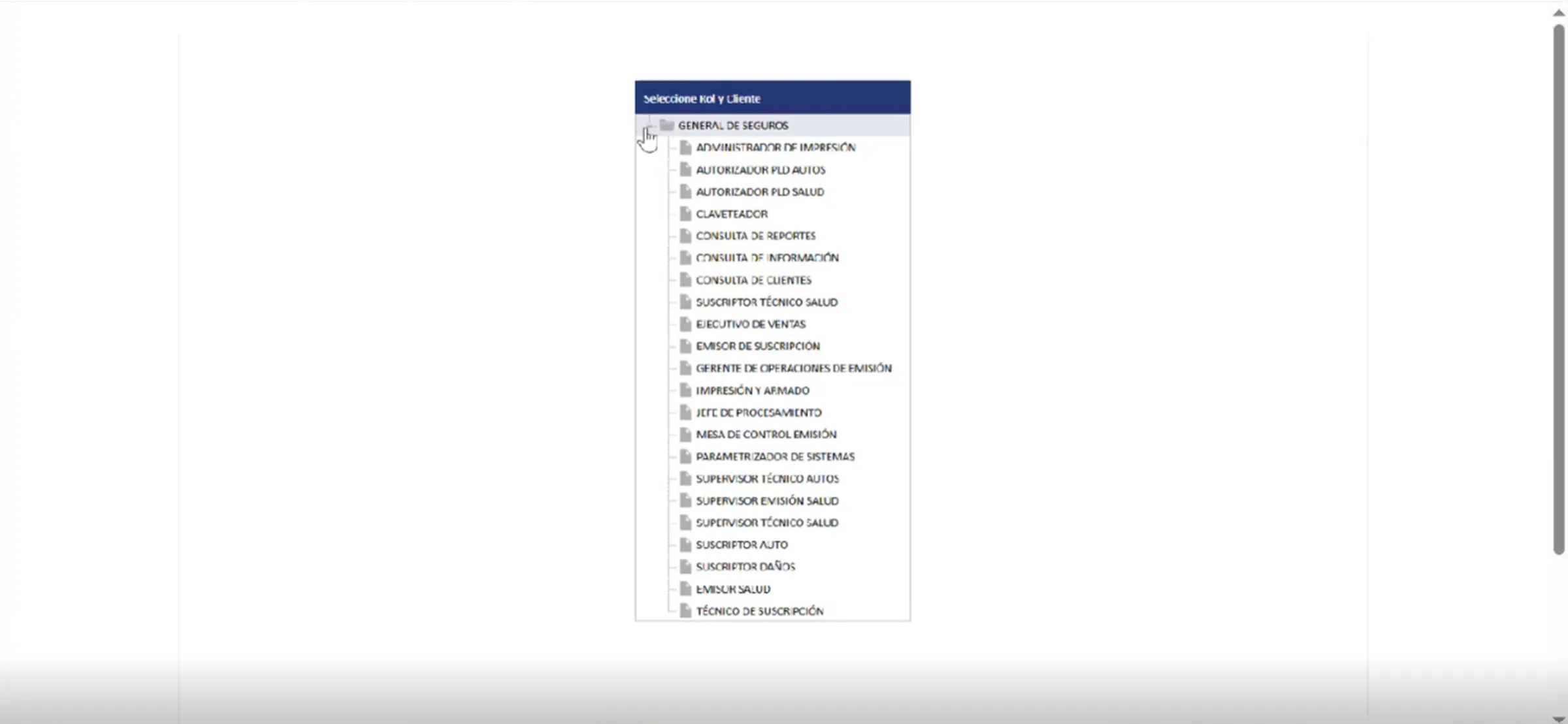 Pantalla de selección de rol con los 5 módulos
